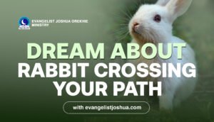 Dream About Rabit Crossing Your Path