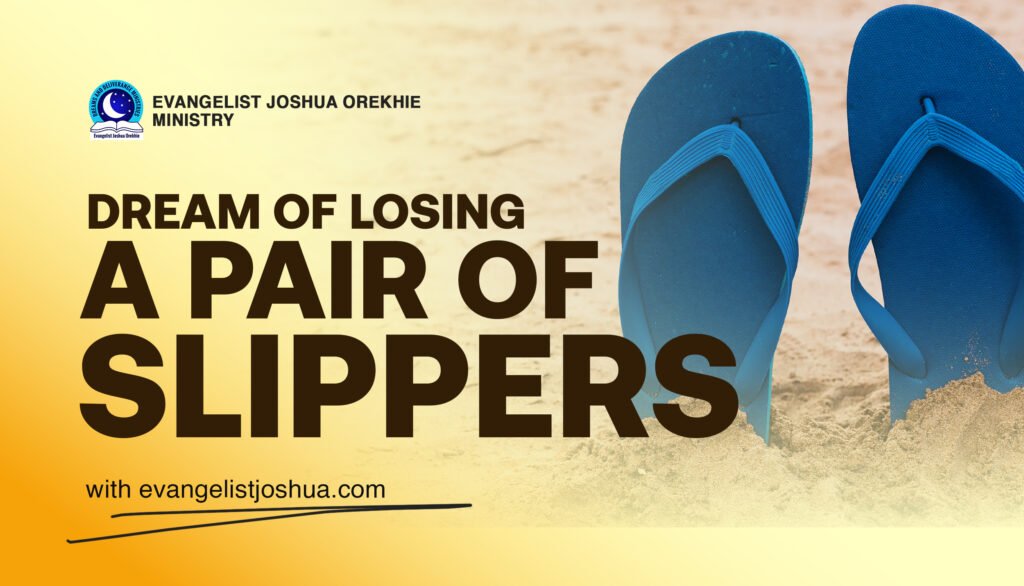 Dream Of Losing A Pair Of Slippers