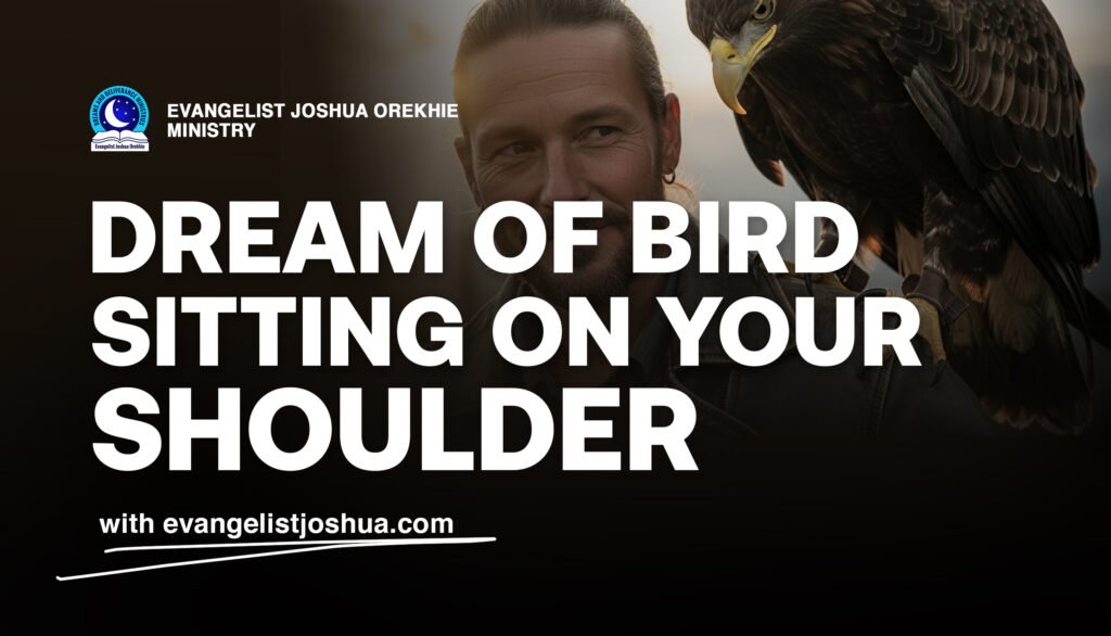 Dream Meaning Of Bird Sitting On Your Shoulder
