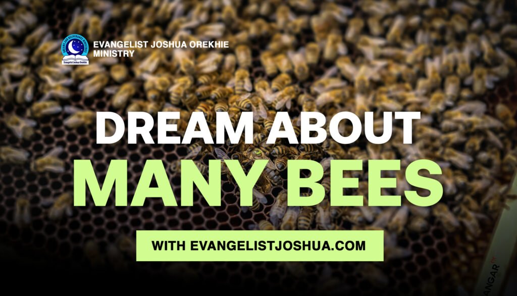 Dream Meaning Of Many Bees