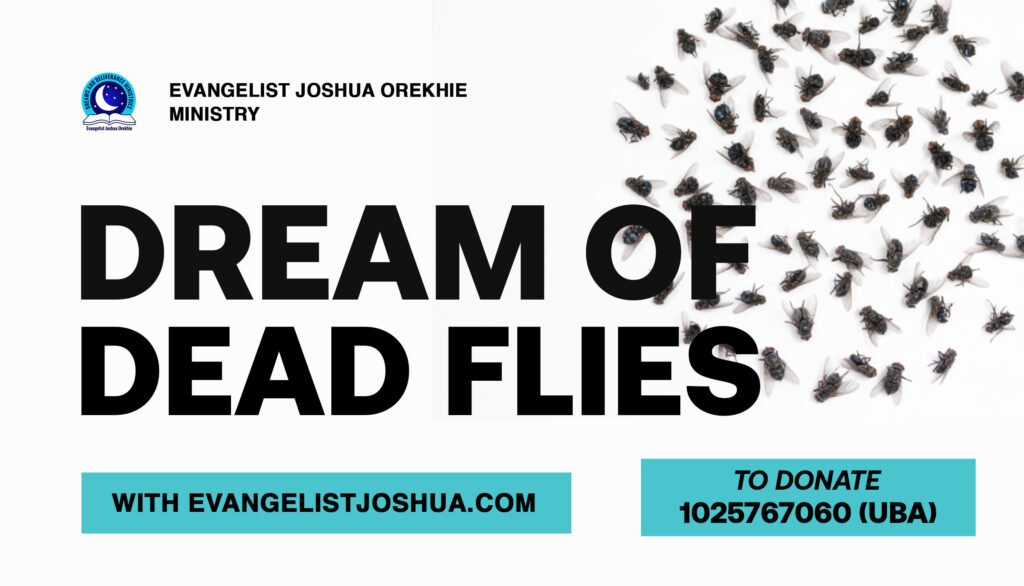 Dream About Dead Flies