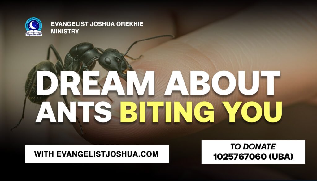 Dream About Ants Biting You