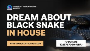 Dream About Black Snake In House