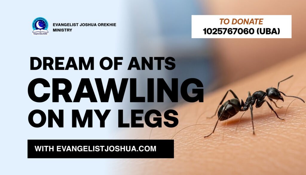 Dream Of Ants Crawling On My Legs