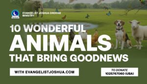 10 Wonderful Animals That Bring Good News