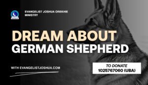 Dream About German Shepherd