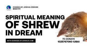 Spiritual Meaning Of Shrew In Dream