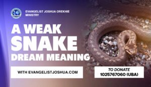 A Weak Snake Dream Meaning