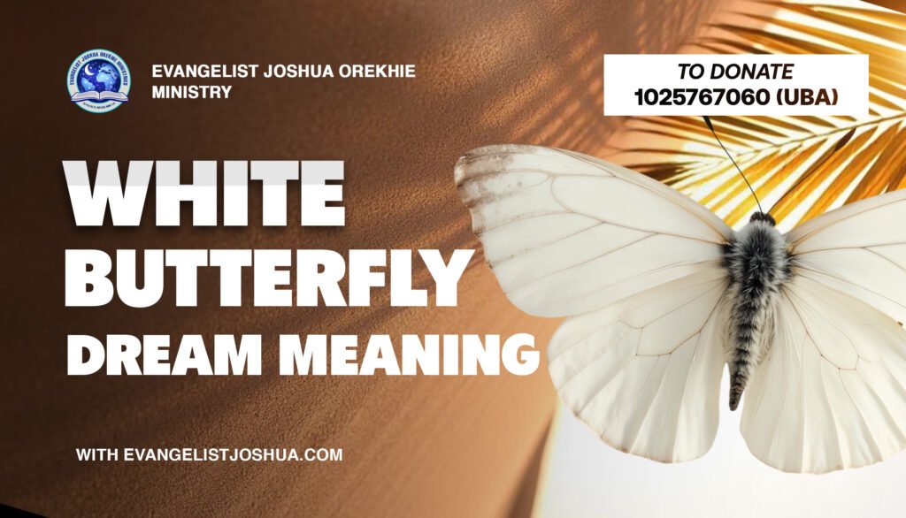 White Butterfly Dream Meaning