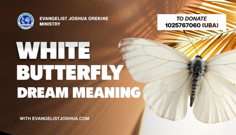 White Butterfly Dream Meaning