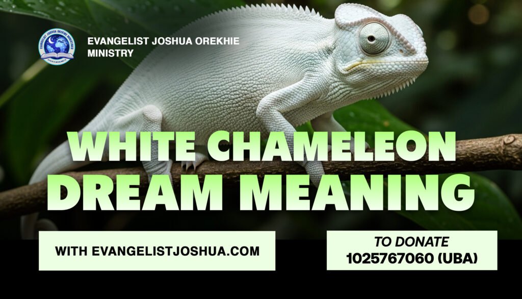 White Chameleon Dream Meaning
