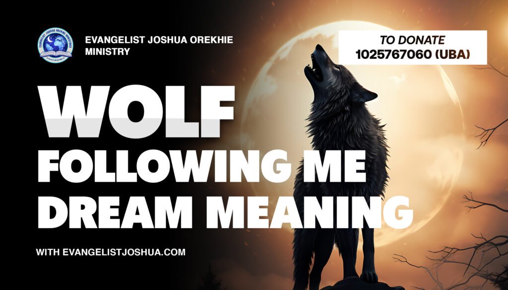 Wolf Following Me Dream Meaning