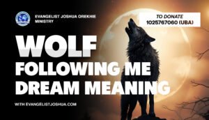 Wolf Following Me Dream Meaning