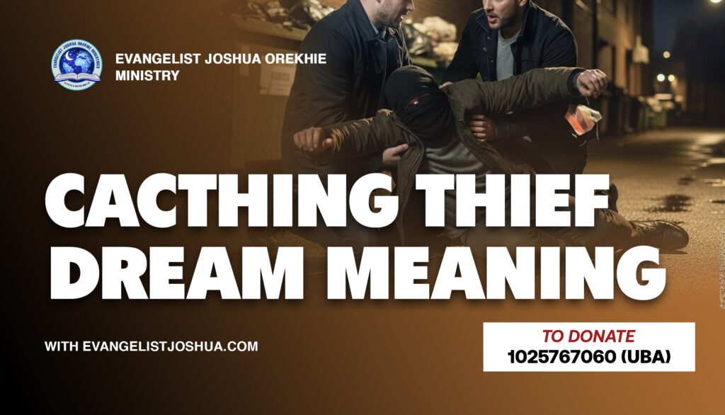 Catching Thief Dream Meaning