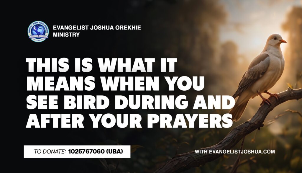 This Is What It Means When You See Bird During And After Your Prayers
