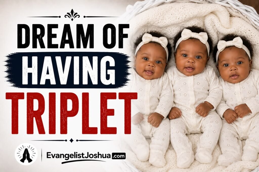 Dream Of Having Triplet