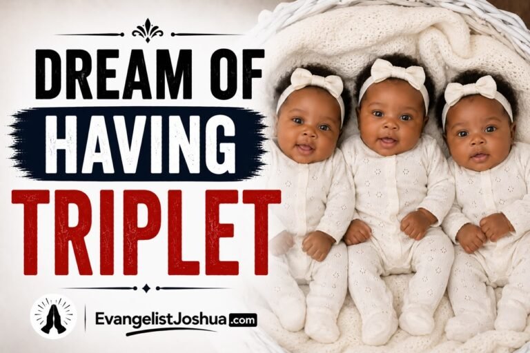 Dream Of Having Triplet