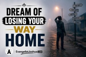 Dream Of Losing Your Way Home