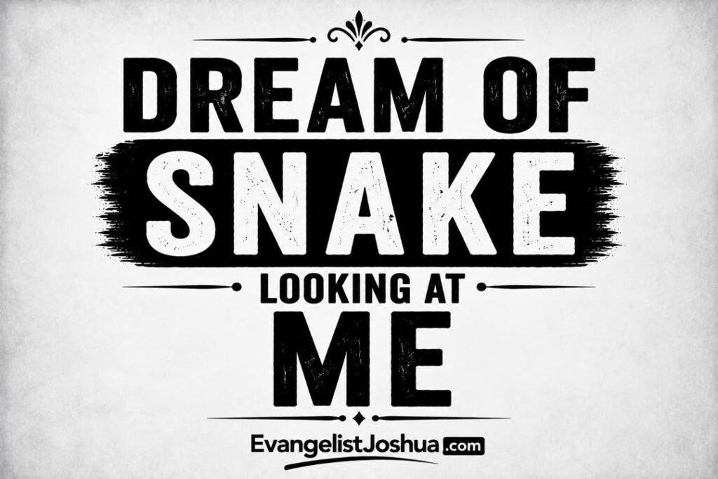 Dream Of Snake Looking At Me