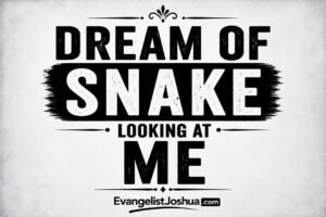 Dream Of Snake Looking At Me