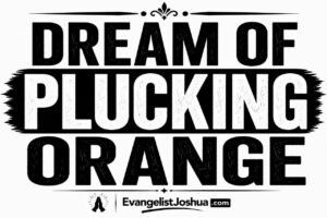 Dream About Plucking Orange