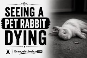 Seeing A Pet Rabbit Dying